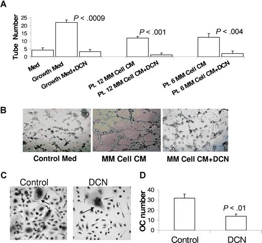 Figure 6. Decorin inhibits myeloma cell-induced tube formation and osteoclastogenesis. HUVECs were seeded on Matrigel for 3 to 4 hours with the indicated media and conditions. (A) Medium containing a cocktail of growth factors (see “Tube-formation assay”) or 48-hour conditioned medium from culture of myeloma cells from 2 patients induced tube formation by HUVECs, an effect that was completely abrogated by decorin (DCN, 10 μg/mL). (B) Photomicrographs show representative tube formation after incubation with medium lacking growth factors (control medium) and with myeloma cell-conditioned medium in the absence or presence of decorin (original magnification ×10). (C,D) Osteoclast (OC) precursors were incubated with osteoclast medium in the absence or presence of decorin. The number of TRAP-expressing multinucleate osteoclasts shown in panel C (; original magnification ×20) was counted and plotted in panel D.