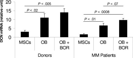 Figure 7. Expression of decorin in donor and patient MSCs and osteoblasts, and after bortezomib treatment. MSCs generated from healthy donors (n = 3) and patients with myeloma (n = 3) were differentiated into osteoblasts (OB) in the absence or presence of bortezomib (BOR, 2 nM) for 2 weeks. Decorin expression was determined by qRT-PCR amplification. Note the increased expression of decorin after differentiation of donor and patient MSCs into osteoblasts. Decorin expression was insignificantly lower in patient than in donor MSCs and osteoblasts and higher after bortezomib treatment.