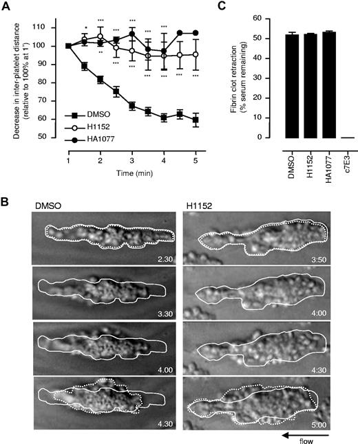 Figure 4. Role of Rho kinase in regulating thrombus contraction. (A) Lepirudin-anticoagulated human whole blood, spiked with DiIC12-labeled platelets, was preincubated with vehicle (DMSO), H1152 (40 μM), or HA1077 (80 μM), prior to perfusion through collagen-coated microslides at 1800 s−1. The interplatelet distance between firmly adherent platelets was quantified and used as an indirect marker of thrombus contraction. Results represent the mean plus or minus SEM (n = 4; *P < .05; **P < .005; ***P < .001). (B) Thrombus formation in the presence of vehicle (DMSO) or H1152 (40 μM) was recorded in real time, and snapshots of individual thrombi at the indicated times were taken off-line. The original size of the thrombus is outlined by a solid line, while the resultant thrombus size following 2 minutes of flow is outlined by a broken line. These images are taken from 1 representative of 4 independent experiments. (C) To examine the effect of Rho kinase inhibitors on fibrin-dependent clot retraction, citrated PRP was preincubated with vehicle (DMSO), H1152 (40 μM), HA1077 (80 μM), or c7E3 (100 μg/mL), followed by addition of thrombin (1.0 U/mL). The extent of clot retraction was assessed after 30 minutes, as described in “Platelet-mediated fibrin clot retraction.” Results represent the mean plus or minus SEM (n = 3).