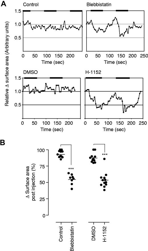 Figure 6. Role of myosin IIA and Rho kinase in regulating thrombus stability in vivo. Vascular injury was induced in the mesenteric postcapillary venules of anesthetized C57/Bl6 mice by needle puncture, and thrombus development recorded as described in “Intravital microscopy.” In the indicated experiments, the effects of blebbistatin, an inactive enantiomer of blebbistatin (control), vehicle (DMSO), or H1152 on thrombus stability was assessed following intermittent injections (denoted by ▀), with concentrations and volumes as described in “Intravital microscopy.” (A) The relative change in surface area of a given thrombus over time was determined off-line, and expressed relative to the initial surface area of the thrombus prior to injection. These results depict data taken from 1 of 4 independent experiments, with representative images from one such experiment depicted in panel B. The percentage decrease in thrombus surface area following injection was quantified as described in “Intravital microscopy,” and expressed as a percentage (%) of the original thrombus. These results represent the mean plus or minus SEM (n = 4), where *** indicates P < .001.