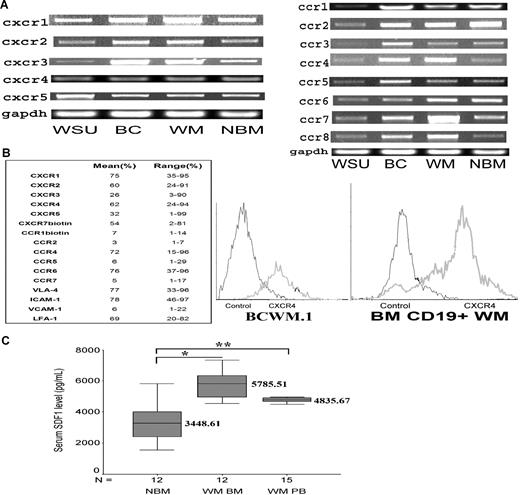 Figure 1. Chemokine receptors expression in WM. (A) CXCR1, CXCR2, CXCR3, CXCR4, CXCR5, CCR1, CCR2, CCR3, CCR4, CCR5, CCR6, CCR7, and CCR8 expression in WM cell lines, including WM-WSU (WSU), BCWM.1 (BC), a representative patient sample (WM) and a representative normal bone marrow CD19+ cells (NBM). A total of 3 patient samples and 3 normal marrow samples were tested. GAPDH was used as control. (B) Chemokine receptors and adhesion molecule expression and CXCR4 expression in 10 patient samples using flow cytometry. The table shows the mean and range of expression of all the CXCR, CCR receptors, and adhesion molecules. The right panel shows BCWM.1 cell line and CD19+ WM cells from a primary patient using flow cytometry and compared with IgG1 control. (C) Enzyme-linked immunosorbent assay for SDF-1 level (pg/mL) demonstrates that the level of SDF-1 is significantly higher in the bone marrow of WM patients (N = 12, *P = .001.) and peripheral blood of WM patients (N = 15, **P = .004) compared with healthy volunteer control BM supernatants (N = 12).