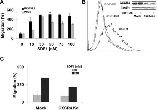 Figure 2. Migration of BCWM.1 and CXCR4 knockdown cell lines. (A) Transwell migration assay using BCWM.1 and WM-WSU (WSU) WM cell lines. SDF-1 0 to 100 nM was placed in the lower chambers, and migration was determined after 4 hours. Maximum migration occurred at approximately 30 nM with no further increase in migration beyond 30 nM. (B) CXCR4 knockdown BCWM.1 cell line (CXCR4Kd) was generated using lentivirus infection. Flow cytometry for CXCR4 expression was performed using IgG1 isotype control, CXCR4 Kd cell line, and mock BCWM.1 showing no CXCR4 expression in the Kd cell line. Similarly, Western blotting demonstrates negligible CXCR4 expression in the Kd cell line compared with mock BCWM.1 (C) Transwell migration assay using CXCR4Kd cell line compared with Mock-infected BCWM.1 cell line showing significant migration with SDF-1 30 nM, whereas the CXCR4 Kd cell line showed minimal migration in response to SDF-1.