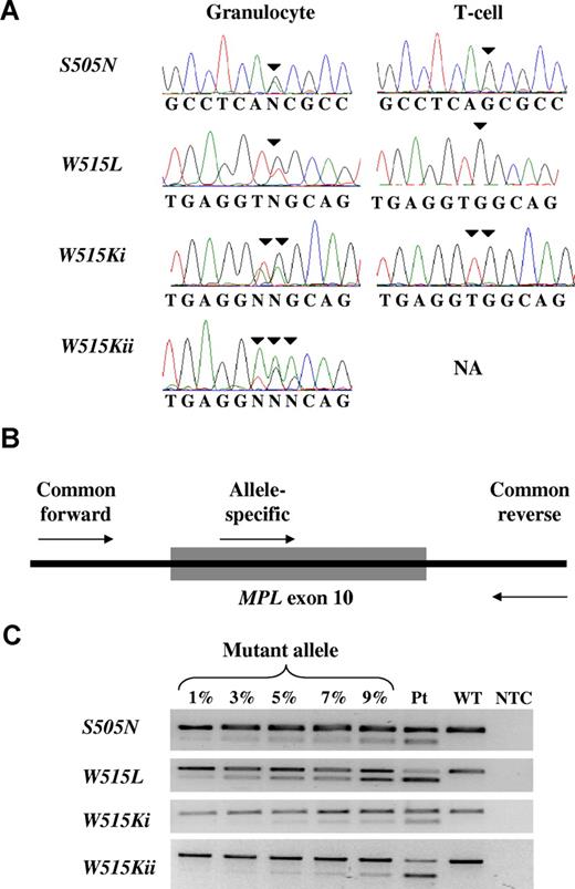 Figure 1. Detection of MPL exon 10 mutations. (A) Sequence traces of the 4 MPL exon 10 mutant alleles, showing 2 different mutations leading to the same MPL W515K substitution (MPL W515Ki and MPL W515Kii), and MPL S505N as an acquired mutation. (B) Allele-specific PCR strategy showing the common forward and reverse intronic primers and the allele-specific primer within MPL exon 10. (C) Mixing experiments with normal and mutant DNA demonstrating the sensitivity of the allele-specific PCR assays used for mutation screening. The images were captured on a Gel Doc 200 imager (Bio-Rad, Hercules, CA) using Quantity One software (Bio-Rad). NA indicates T cell sample not available from this patient; Pt, patient sample; WT, wild-type; NTC, no template control.