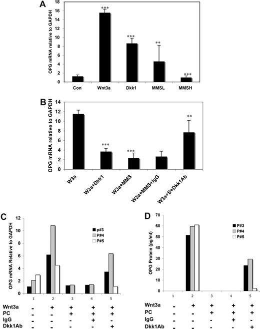Figure 6. Neutralization of DKK1 rescued OPG expression in osteoblasts grown in the presence of MM sera or primary MM cells. C2C12 cells were treated with BM sera (50% diluted with serum free DMEM medium) from MM patients (n = 8) containing low (L; 2.7 to 8.5 ng/mL) or high (H; 104.5 to 273.5 ng/mL) concentration of DKK1 or recombinant DKK1 (100 ng/mL) as a positive control or normal sera (50% diluted with serum free DMEM medium) for 2 hours. Then rWnt3a or control vehicle was added to the cell culture media, as described above, for 48 hours (A). The cells were treated with rWnt3a or control vehicle for 48 hours after prior treatment with 25% sera from MM patients (n = 21) containing mouse Ig or anti-DKK1 antibody or with control IgG for 2 hours (B). OPG mRNA was determined by qPCR from the RNA (**P < .01, ***P < .001, vs control). Error bars represent SD. C2C12 cells were cocultured with CD138-positive plasma cells (PC) from MM or the lymphoma ST486 cell line (negative control) in the presence or absence of Wnt3a, control IgG or anti-DKK1 antibody for 48 hours. Plasma cells in suspension were removed and harvested. The supernatants were harvested by centrifugation for 10 minutes. C2C12 cells were washed with BPS and homogenized for isolation of RNA. OPG mRNA was determined by qPCR analysis from total RNA isolated from C2C12 cells (C), and OPG protein in cell culture supernatants was measured by ELISA analysis (D).