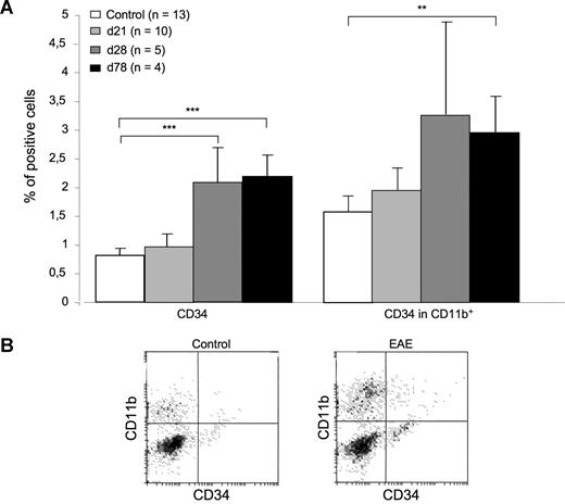 Figure 1. Delayed mobilization of CD34+ myeloid progenitors in EAE mice. (A) The percentage of CD34+ cells was assessed by flow cytometry on peripheral blood mononuclear cells (PBMCs) obtained from control mice or from EAE mice killed on day (d) 21 (first relapse), d28 (chronic phase), or d78 (chronic phase) after immunization (p.i.). The percentage of blood CD34+ cells was not significantly changed in EAE d21 mice versus controls (0.97% vs 0.81%; left panel). However, it significantly increased in EAE d28 mice (2.05%) or EAE d78 mice (2.2%) compared with controls (left panel). Such an increase could be similarly evidenced when considering the percentage of CD34+ cells in the CD11b+ fraction of PBMC (right panel). **P < .01, ***P < .001, Student t test. (B) Data show representative dot plots obtained by FACS analysis of PBMCs obtained from EAE or control mice.