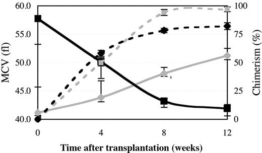 Figure 2. The hem6 anemia is transplantable. Irradiated C57BL/6J-Igha Thy1a Gpi1 a +/+ or hem6/hem6 animals that had received C57BL/6J-Ighb Thy1b Gpi1b hem6/hem6 (n = 7; black lines) or +/+ (n = 8; gray lines) fetal liver cells, respectively, were serially monitored for RBC chimerism (dotted lines) by Gpi1 isozyme analysis and for blood parameters. The decrease (in the case of hem6 → +) or increase (in the case of + → hem6) in MCV (solid lines) closely follows engraftment by the donor cells. Error bars indicate plus or minus 1 SD.
