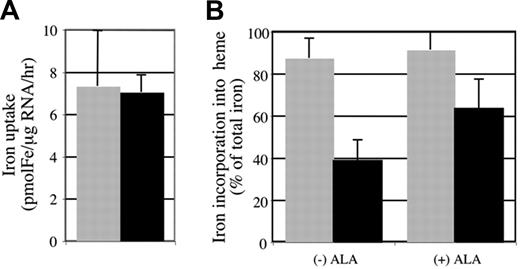 Figure 3. hem6 reticulocytes have a defect in iron incorporation into heme partially corrected by ALA. (A) Reticulocyte iron uptake and heme biosynthesis were measured in 129B6N2F1 hem6/hem6 (n = 4; ■) and +/+ (n = 4; ▩) control littermates following 30 minutes of incubation with 55Fe2-transferrin with or without 2 mM added ALA. The data are normalized to and presented as uptake per microgram of RNA per hour. (B) Average heme iron to whole-cell iron ratio from 3 independent experiments with or without ALA treatment is shown. Error bars represent plus or minus 1 SD.