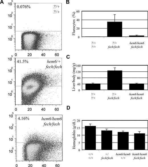 Figure 4. hem6 modifies erythropoietic protoporphyria. (A) Flow cytometric analysis of erythroid PPIX levels in 129S6;C- fechm1Pas/+ × 129S6;B6-hem6 intercross offspring, showing a representative set of 3 animals with key genotypes. Numbers in the upper left corner of each scattergram represent the percentage of cells in the fluorocyte gate. The horizontal lines separate the positive gate (above the line) from the negative gate (below the line). (B) Histogram of the average fluorocyte percentage. (C) Liver–body weight ratios of selected genotypes. (D) Hemoglobin levels of selected genotypes. All error bars represent plus or minus 1 SD.