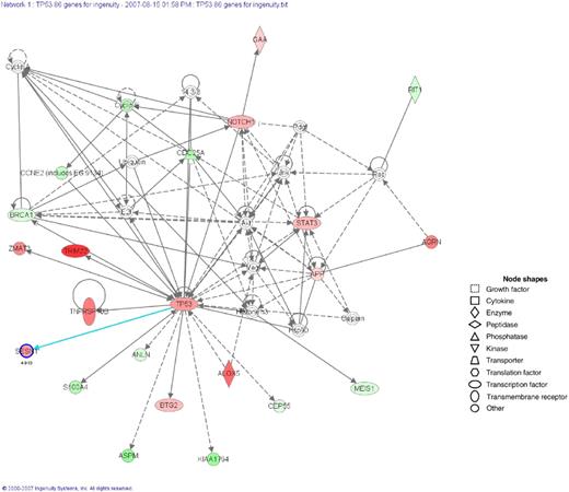 Figure 4. Networks of TP53-regulated genes in MM cell lines and patients. Ingenuity Pathways Analysis software (Ingenuity Systems) was used to analyze the identified genes (n = 85). Three networks were identified. The network representing proteins involved in the biologic functions of cancer and the cell cycle is shown. The genes written in bold letters with a shaded node were identified by microarray analysis, and the other genes were those related to the regulated genes based on the network analysis. The intensity of a node color indicates the degree of up-regulation (red). The meanings of node shapes are indicated in the figure.