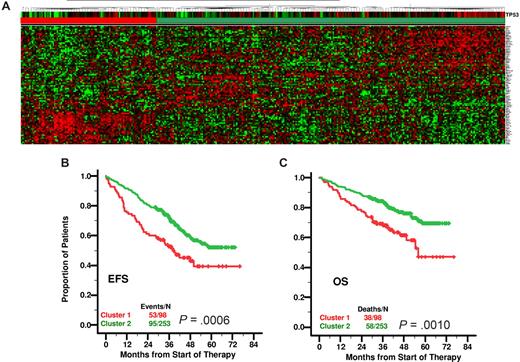 Figure 5. Gene expression profiles of TP53-regulated genes and their clinical relevance. (A) Two-dimensional unsupervised hierarchical cluster analysis of 85 (rows) TP53-regulated genes in CD138-enriched plasma cells of newly diagnosed MM patients on TT2 (n = 351). The right branch consists of MM samples that have a gene expression profile associated with a high TP53 expression level (horizontal green bar), and the left branch contains MM samples that have a gene expression profile associated with low TP53 expression level (horizontal red bar). Kaplan-Meier estimates of (B) EFS and (C) OS in newly diagnosed MM patients on TT2 show superior 5-year actuarial probabilities of EFS (51% vs 39%; P = .001) and OS (69% vs 46%; P = .001) in the right-branch patients whose 85-gene expression profile was associated with a high TP53 expression level.