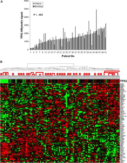 Figure 6. TP53 expression and its associated gene expression profile in 51 paired MM patients on TT2 at baseline and disease relapse. (A) A total of 51 paired TT2 patients had similar TP53 expression levels at baseline and relapse (P = .455); only 8 patients had at least a 2-fold TP53 signal change (5 decreased and 3 increased) at relapse. (B) Two-dimensional unsupervised hierarchical cluster analysis of 85 TP53-regulated genes in 51 MM patients with paired gene expression data at baseline and relapse shows that 36 of 51 patients have very similar gene expression patterns of the 85 TP53-regulated genes, and these genes cluster closely together (marked by red bracket). BL indicates baseline; and RL, relapse.