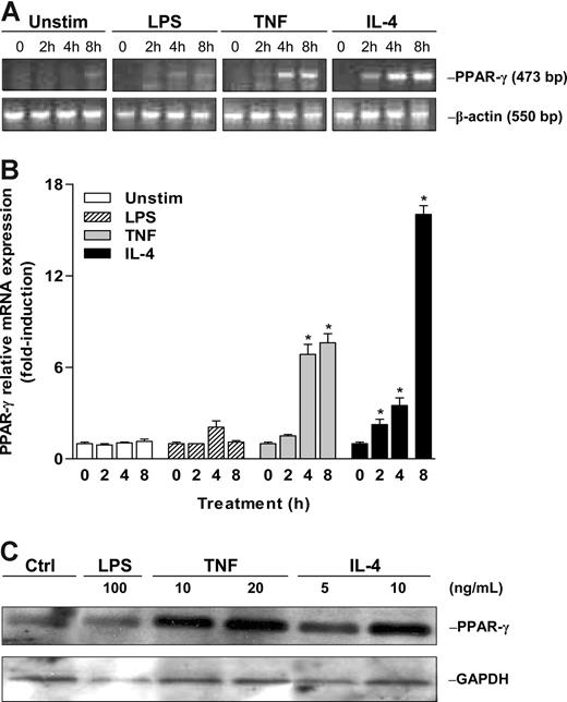 Figure 1. PPAR-γ is expressed in human PMNs. Messenger RNA expression of PPAR-γ by isolated PMNs was analyzed by (A) semiquantitative and (B) quantitative RT-PCR in PMNs after treatment (0-8 hours) with TNF-α (20 ng/mL), IL-4 (20 ng/mL), or LPS (100 ng/mL). *P < .05 compared with DMSO (vehicle) treated cells. Results are expressed as the average of 3 independent experiments performed in quadruplicate. Error bars represent SEM. (C) Western immunoblotting after treatment for 16 hours with TNF-α (10 and 20 ng/mL), IL-4 (5 and 10 ng/mL), or LPS (100 ng/mL). Equal loading was confirmed by stripping and probing with antibody against GAPDH. Gel and blot shown are representative of 3 separate experiments.