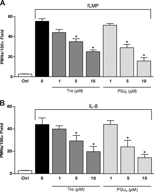 Figure 2. PPAR-γ ligands decrease human PMN chemotaxis. Cells were isolated and treated with troglitazone (Tro; 1-10 μM) or 15d-PGJ2 (PGJ2; 1-10 μM) for 2 hours before stimulation with (A) 10−7 M fMLP or (B) 100 ng/mL IL-8 for assessment of chemotaxis. All data are expressed as mean PMN count per high-powered field at 100× magnification (PMNs/hpf). *P < .05 compared with DMSO (vehicle) treated cells. Results are expressed as the average of 2 independent experiments performed in triplicate. Ctrl, unstimulated cells (without fMLP or IL-8 treatment). Error bars represent SEM.