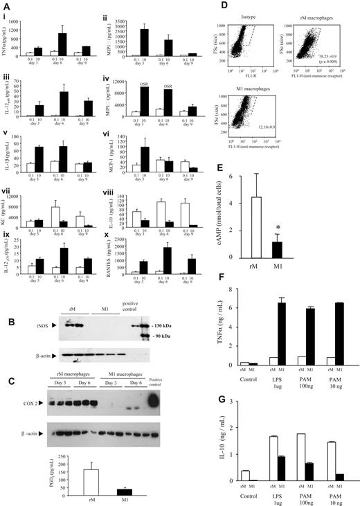 Figure 2. Unique phenotype of resolution-phase macrophages is preserved in response to inflammatory stimuli ex vivo. Macrophages were isolated from a 72-hour peritonitis that either resolved (0.1 mg zymosan or rM macrophages, □) or progressed to systemic inflammation (10 mg zymosan or M1 macrophages, ■) and incubated for 6 hours ex vivo to determine profiles and levels of (A) cytokines and chemokines indicative of established M1 and M2 macrophage phenotype. Having established that rM macrophages secrete predominantly anti-inflammatory IL-10 and comparatively fewer proinflammatory mediators, expression of other inflammatory markers was determined including (B) iNOS as well as (C) COX 2 and COX 2–derived PGD2 and intracellular markers of M2 phenotype including (D) mannose receptor as well as (E) cAMP. (F,G) Finally, we determined that exposure of these resolution-phase macrophages to a range of inflammatory stimuli did not alter their phenotype, which remained robust upon exposure to TLR ligands. n = 6-8 mice per group. *P ≤ .05, as determined by ANOVA, followed by Bonferroni t test or 2-tailed Student t test, with data expressed as mean plus or minus SEM.