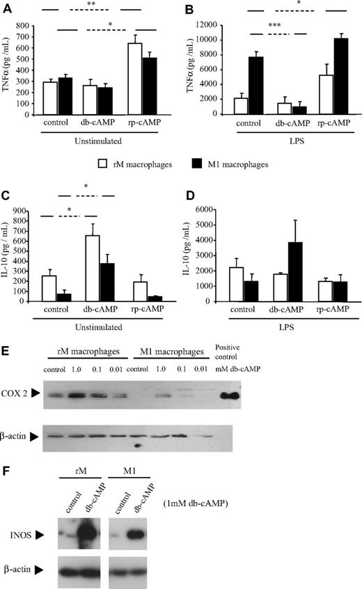 Figure 3. Resolution-phase macrophage phenotype is determined by cAMP. Macrophages (0.5 × 106) previously classified as either resolution phase (rM) or M1 were treated with modulators of cAMP with or without LPS for 20 hours in triplicate. Using (A,B) TNFα and (C,D) IL-10 as markers of macrophage inflammatory status, it was determined that cAMP elevation in M1 cells triggered IL-10 while also inhibiting TNFα. Changes in (E) COX 2 and (F) iNOS expression in response to cAMP were determined by Western blot analysis using 3 μg M1 and rM cell lysates in each lane. LPS-stimulated J774 macrophage extracts were used as positive controls. n = 6 to 8 mice per group. *P ≤ .05, as determined by ANOVA, followed by Bonferroni t test with data expressed as mean plus or minus SEM.