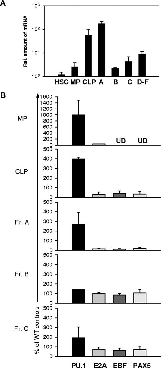 Figure 3. Expression of Irf8, Pu.1, Ebf, Pax-5, and E2a in HSCs, CLPs, MPs, and various B-cell subsets. Each cell population was sort-purified from a pool of 5 to 6 mice. RNA was extracted and reverse transcribed. qPCR was used to quantitate Irf8 (A), Pu.1, Ebf, E2a, and Pax-5 (B) expression levels. Data are mean plus or minus SEM of 3 independent experiments. UD indicates undetectable.