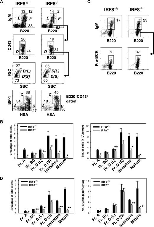 Figure 5. Impaired B-cell development in the BM of IRF8−/− mice. (A) BM cells from the indicated mice (n = 8) were stained for B220, IgM, CD43, BP-1, and HSA. The percentage of B cells falling within each gate is given. Hardy Frs A to F are indicated. L indicates large; S, small. (B) The frequency and absolute numbers of each B-cell subset. Data are mean plus or minus SEM of 6 mice. * indicates P value less than .001 compared with control groups; **, P value less than .05 compared with Fr A cells. (C) IL-7 cultured BM cells were stained with antibodies against B220, IgM, and pre-BCR. The anti–pre-BCR antibody (clone SL156) specifically recognizes an epitope composed of the μH chain and the surrogate L chain. The percentage of B cells falling within the gate is given. Data represent 1 of 3 mice with similar results. (D) Sorted HSCs from IRF8+/+ and IRF8−/− mice were injected into lethally irradiated CD45.2− B6 mice. Two months later, BM cells were analyzed by FACS and the donor cells (CD45.2+) were identified by an anti-CD45.2 antibody. The frequency (left panel) and absolute cell numbers (right panel) of donor B cells were shown as mean plus or minus SEM of 6 mice per group. * P < .05; **P < .001 compared with the control group.