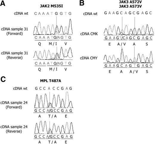 Figure 1. Mutations of JAK2, JAK3, and MPL in AMKL samples and cell lines. Mutations of JAK2 M535I (A) and MPL T487A (C) were found in children with non–Down syndrome AMKL. Mutations of JAK3 A572V and JAK3 A573V were found in CMK and CMY cell lines, respectively (B).