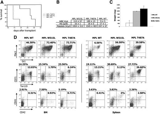 Figure 4. Comparison of BALB/c mice engrafted with bone marrow cells transduced with MPLT487A, MPLW515L, and MPLWT. (A) Kaplan-Meier survival plot of recipient BALB/c mice expressing MPLWT (n = 6), MPLW515L (n = 3), and MPLT487A (n = 6). MPLWT mice were killed without signs of disease. (B) Blood count analysis. MPLWT (n = 6), MPLW515L (n = 3), and MPLT487A (n = 6). (C) Splenomegaly in MPLW515L (n = 3) and MPLT487A (n = 5) mice. The spleens of 4 MPLWT mice were weighted for comparison purposes. Error bars denote SD. (D) Flow cytometric analysis of bone marrow cell suspensions (left panel) and spleen cell suspensions (right panel). It shows an increase of granulocytic cells (Mac1+Gr1+; first row) and of immature erythroid populations (CD71+/Ter119+; second row) and an amplification of the megakaryocytic lineage (CD41+/CD42+; third row), when MPLT487A-transduced cells are compared with the others. These analyses are representative of several: MPLWT (n = 3), MPLW515L (n = 1), and MPLT487A (n = 4).