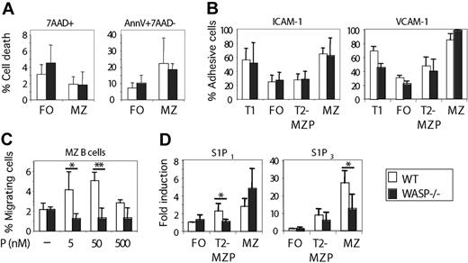 Figure 5. WASP-deficient MZ B cells show impaired in vitro migration to S1P. (A) Flow cytometric analysis of cell death in freshly isolated FO and MZ B cells, identified based on CD21 and CD23 expression. Necrotic cells were defined as 7-AAD+ (left panel) and apoptotic cells as 7-AAD− annexin V+ (right). N = 6 mice per group. (B) Adhesive response of T1, FO, T2-MZP, and MZ B cells to ICAM-1 (left panel) and VCAM-1 (right). Splenocytes were allowed to adhere to tissue culture plates coated with indicated ligands for 2 hours. Adherent cells were released by ethylenediaminetetraacetic acid, stained for CD21, CD23, and IgM to define B-cell subsets, and enumerated by flow cytometry. The percentage of adhesive cells as a fraction of total input cells is shown as mean values (± SD). This experiment is representative of 2 similar ones with n = 3 mice per group. (C) Migratory response of MZ B cells to S1P was determined by an in vitro chemotaxis assay. The percentage of cells that migrated after 3 hours in the chemotaxis assay was determined and represents the mean value (± SD) of n = 3 mice per group. This experiment represents 2 similar experiments. (D) Real-time PCR analysis of S1P1, and S1P3 in FO, T2-MZP, and MZ B cells. B cells from 3 mice per group were pooled and cell-sorted based on CD21, CD23, and IgM expression. Samples were run in triplicate, and the target mRNA was normalized to HPRT mRNA. The mRNA content of test sample in WT FO B cells was defined as 1 arbitrary unit. Mean value (± SD) of triplicates is shown, and the data are representative of 3 similar experiments. *P < .05, **P < .01.