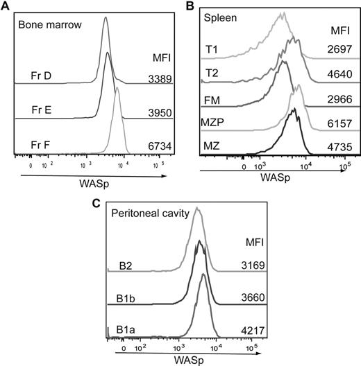 Figure 3. Relative WASp expression levels in distinct B-cell subsets. B cells in different lymphoid compartments from a WT mouse were stained for WASp expression in addition to surface markers to determine B-cell subpopulations. Relative WASp expression and mean fluorescent intensity are shown for each of the B-cell subsets derived from (A) BM, (B) spleen, and (C) peritoneal cavity. Data shown are representative of more than 5 individual mice.