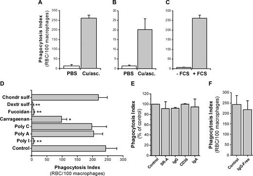 Figure 1. Macrophage phagocytosis of Ox-RBCs is dependent on serum and SRs. Phagocytosis of Cu/ascorbate-treated Ox-RBCs (), or PBS-treated RBCs (□), by RPM (A), or bone marrow–derived macrophages (B). (C) Phagocytosis of Ox-RBCs by RPM is strongly inhibited in the absence of FCS. (D) Macrophage phagocytosis of Ox-RBCs is inhibited by the SR ligands dextran sulfate (100 μg/mL), fucoidan (100 μg/mL), carrageenan (100 μg/mL), and poly-I (50 μg/mL), but not by the non-SR ligands poly-A (50 μg/mL), poly-C (50 μg/mL), or chondroitin sulfate (100 μg/mL). (E) Functional blocking antibodies to SR-A or CD36 (25 μg/mL) do not inhibit phagocytosis of Ox-RBCs by RPM. (F) Phagocytosis of Ox-RBCs is not affected in the presence of 10% IgG-depleted FCS. In panels D-F, control refers to incubation in DMEM with 10% FCS. In phagocytosis experiments, RBCs were incubated with adherent macrophages for 60 minutes at 37°C. Following lysis of noningested RBCs and fixation/staining, the number of ingested RBCs was counted in 200 to 300 macrophages per coverslip and expressed as a phagocytosis index (number of ingested RBCs/100 macrophages). Data are mean plus or minus SEM for 3 to 6 separate experiments. *P < .05 and **P < .01, compared with control, using the Student t test for paired comparisons.
