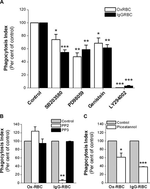 Figure 6. Signaling pathways involved in macrophage FcγR- or SR-mediated phagocytosis. Phagocytosis of WT Ox-RBCs or IgG-opsonized WT RBCs by RPM was studied in the presence or absence of (A) the p38 MAPK-inhibitor SB203580 (30 μM; n = 8), the ERK1/2-inhibitor PD98059 (30 μM; n = 4), the tyrosine kinase–inhibitor genistein (100 μM; n = 4), or the PI3 kinase–inhibitor LY294002 (50 μM; n = 4); (B) the Src kinase family–inhibitor PP2 (10 μM; n = 3), or the inactive control substance PP3 (10 μM; n = 3); or (C) the Syk tyrosine kinase–inhibitor piceatannol (25 μM; n = 3). In the controls, equal amounts of dimethylsulfoxide (DMSO) were added. Macrophages were preincubated with the indicated inhibitors at 37°C for 30 minutes prior to addition of RBCs in the presence of 10% FCS for another 30 minutes. Following lysis of uningested RBCs, phagocytosis was determined as described in the legend to Figure 1. Data are mean plus or minus SEM for the indicated number of experiments. *P < .05; **P < .01; and ***P < .001, using the Student t test for paired comparisons.