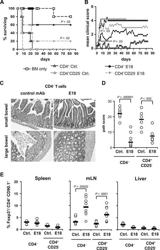 Figure 4. Treatment of aGVHD with E18 mAb. (A) Lethally irradiated BALB/c mice were reconstituted with 107 B6 TCD BM cells either alone or together with 106 CD4+ (n = 3 experiments) or 8 × 105 CD4+CD25− peripheral T cells (n = 2 experiments) from CD90.1-congenic B6 mice. E18 mAb was administered 1 day after the cell transfer. The percentages of animals surviving over time are depicted as Kaplan-Meier graph. (B) Mean clinical scores of recipient animals (n = 5). (C) Representative hematoxylin and eosin stainings of small-bowel and large-bowel sections obtained from mice 6 days after transplantation (original magnification ×200): microscope, LEICA DMIRE2 (Leica Microsystems, Wetzlar, Germany); lens: HC PLAN S 10×/0.40 PH1; mounting medium: Entellan (Merck, Darmstadt, Germany); camera, LEICA DFC300 FX; acquisition software, LEICA IM50 Image Manager. Adobe Photoshop CS3 (Adobe Systems, San Jose, CA) was used to adjust for brightness and contrast and to convert to grayscale. (D) Histopathologic changes were scored on small-bowel and large-bowel sections as detailed in “Methods.” Cumulative scores are depicted for individual animals (○). Horizontal bars represent the medians per group. Data from 3 experiments were pooled. (E) The percentages of Foxp3+ cells among donor-derived CD4+ cells isolated from spleen, MLN, or liver were determined on day 6 after transplantation. ○ represent individual animals. represent the median values of each group with data from 4 experiments being pooled. Ctrl indicates control mAb treatment.