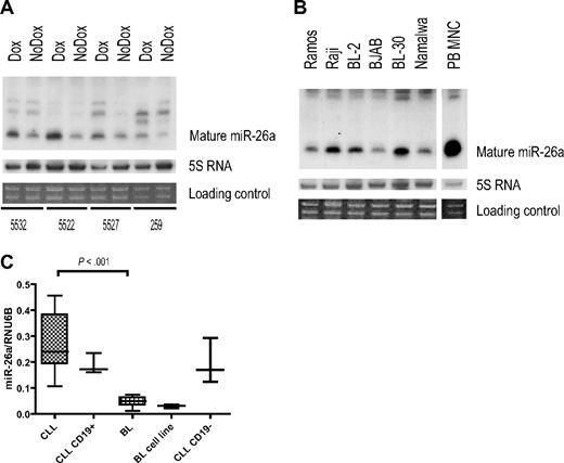 Figure 3. miR-26a expression in MYC-induced lymphoma. (A,B) Northern blot analyses for miR-26a. (A) miR-26a expression in murine Myc-induced lymphoma cell lines after Dox treatment (18 hours). (B) miR-26a expression in human BL-derived cell lines and peripheral blood derived mononuclear cells (PBMNC). (C) Quantitative RT-PCR results evaluating miR-26a expression in primary human BL (n = 11), unselected B-CLL (n = 9), and CD19+-enriched B-CLL (n = 3) samples as well as in BL-derived cell lines (n = 3) and the CD19− fraction of the 3 enriched B-CLL cases. Normalized expression values are depicted (box plots indicate median expression and range of expression values). There are significant differences between BL and B-CLL samples with regard to miR-26a expression (P < .001, exact Wilcoxon rank sum test).