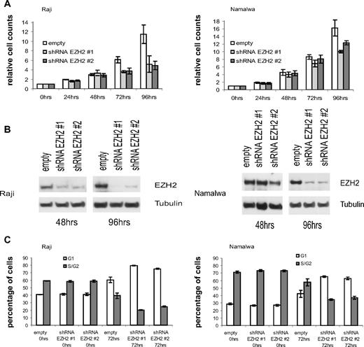 Figure 6. EZH2 knock-down in MYC-dependent BL cell lines. (A) At indicated time points, cell count analysis was performed after induction of EZH2 shRNA#1 or EZH2 shRNA #2 expression in transfected Raji and Namalwa cells. After 96 hours of shRNA expression, cell numbers were significantly reduced in Raji and Namalwa cells (P = .031, exact Wilcoxon rank sum test). As a control, empty vector containing cells were treated with Dox for the same time periods. (B) Protein expression analysis of EZH2 after Dox induced shRNA expression at indicated time points. (C) Cell cycle analysis in empty vector and shRNA-transfected Raji and Namalwa cells was determined by PI staining at indicated time points after Dox treatment. Within the shRNA-expressing cell lines, there was an increased percentage of cells in G1 phase compared with the empty vector control (P = .031, exact Wilcoxon rank sum test).