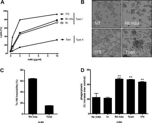 Figure 1. Characterization of anti-CD20 mAb. (A) SU-DHL-4 cells at 1 × 106/mL were incubated with mAb at 0.4, 2, and 10 μg/mL at room temperature for 15 minutes. Normal human serum was added as a source of complement, cells incubated at 37°C for 30 minutes, then propidium iodide added, and cells analyzed for cell lysis by flow cytometry. Data are representative of 3 independent experiments. (B) Examples of homotypic adhesion produced by the different mAbs after incubation with Raji cells for 4 hours at 37°C. Cells in tissue culture plates were viewed with an Olympus CKX21 inverted microscope (Olympus, Watford, United Kingdom) using a 10×/0.25 PH lens. Images were acquired using a CCL2 digital cooled camera (Olympus) and were processed with Cell B (Olympus Soft imaging solutions) and Adobe Photoshop version CS2 software (Adobe Systems, San Jose, CA). Original magnification 20×. (C) Rit m2a or tositumomab (Tosit) was added to hCD20 Tg B cells for 30 minutes on ice, and then the proportion of mAb that had redistributed to the Triton X-100-insoluble fraction was determined by flow cytometry. Bars show the mean plus or minus SEM for triplicate samples. (D) hCD20 Tg splenocytes were labeled with CFSE, incubated with nothing (no mAb), and irrelevant mAb (WR17), Rit m2a, 1F5, or tositumomab (Tosit) and subjected to a 1-hour phagocytosis assay with thioglycollate-activated peritoneal macrophages. Bars represent the mean plus or minus SEM for triplicate samples.
