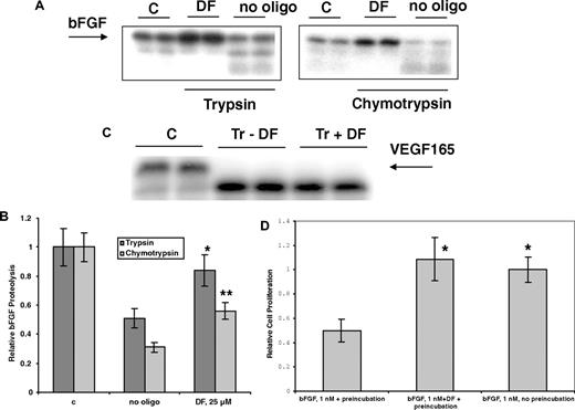 Figure 6. Preincubation with DF protects bFGF from degradation by trypsin and chymotrypsin. bFGF (A,B) or VEGF165 (C; ∼0.5 μg in 20 μL, pH 7.4) with tracer amounts of 125I-bFGF or 125I-VEGF165 were exposed to 2% trypsin (w/w) in the absence or presence of 25 μmol/L DF. Trypsin digestion was carried out at 37°C for 4 hours, and the digestion products were mixed with sample buffer, boiled for 5 minutes, and analyzed by 12% SDS-PAGE. Gel bands were quantitated by laser densitometry. Data are presented as the average plus or minus SD, n = 3. *P (vs no oligo) less than .04; **P (vs no oligo) less than .02. (D) DF protects bFGF from inactivation at 37°C. bFGF was incubated at 37°C for 3.5 hours with or without 25 μmol/L DF, added to the C11 FGFR1 IIIc–overexpressing cells (2.2 × 104 cells/well in 48-well plate) in media containing DF (25 μmol/L) but without IL-3. Cell proliferation was measured after 3 days by SRB. bFGF (1 nmol/L) without preincubation at 37°C for 3.5 hours was used as a positive control. Data are presented as the average plus or minus SD, n = 3. *P (vs bFGF + preincubation) less than .03.