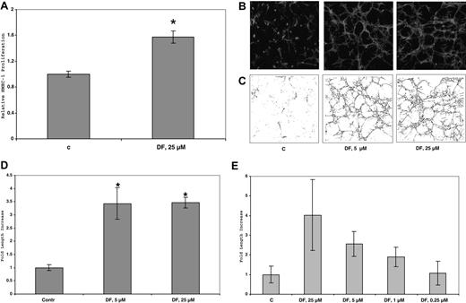 Figure 7. DF increases HMEC-1 proliferation in 3D-collagen I gels. Cells (45 × 104 cells/well in 6-well plates) were seeded in collagen I (0.6 mg/mL) and treated with DF (25 μmol/L, every 3 days). After 6 days, the cells were counted. Each data point is the average of triplicate wells plus or minus SD. Relative HMEC-1 proliferation = 1.6-fol (± 0.08-fold). P less than 10−2 DF (25 μmol/L) versus C (A). (B) Confocal micrograms of HMEC-1 cells in 3D collagen I gels after 6 days in culture. HMEC-1 cells (105 cells/well) were seeded in collagen I (0.6 mg/mL) and treated with DF (5 or 25 μmol/L, every 3 days). At the end of treatment (6 days), the cells were fixed with 4% paraformaldehyde + 0.25% glutaraldehyde, permeabilized with 0.2% Triton X-100, and stained with rhodamine phalloidin (160 nmol/L). (C) Skeletonization by Image J of the images in panel A. (D) Quantitation of skeletonization by Image J of the confocal micrograms of HMEC-1 cells in 3D collagen I gels in (B) after 6 days in culture. Each experiment was performed in triplicate. Fold increase of skeletonized line = 3.5 (± 0.6; 5 μmol/L DF), and 3.5 (± 0.2; 25 μmol/L DF). *P (vs C) less than .02 (5 μmol/L); P (vs C) less than 10−4 (25 μmol/L DF). (E) Quantitation of skeletonization by Image J of the confocal micrograms of HMEC-1 cells in 3D collagen I gels treated with DF at multiple concentrations (0.25-25 μmol/L, every 3 days) after 6 days in culture. Each experiment was performed in triplicate.