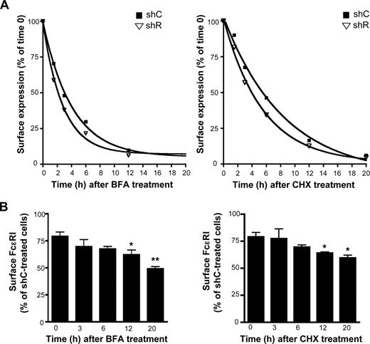 Figure 4. Rabaptin-5 deficiency decreases FcϵRIα half-life. (A) FcϵRIα half-life was measured in control (shC) or Rabaptin-5 (shR) shRNA-treated BMCMCs by exposing cells to 100 μg/mL of brefeldin A (BFA), or 1.5 μg/mL of cycloheximide (CHX) for the indicated times. Surface FcϵRIα was then assessed by flow cytometry. Expression relative to time 0 was calculated for the indicated time points. Data from 3 separate pairs of shC- or shR-treated BMCMCs were pooled and fit to exponential decay curves. (B) Bar graph indicates shR-treated BMCMC surface FcϵRIα levels relative to shC-treated BMCMCs at the indicated times from data pooled from 3 separate pairs of shC- or shR-treated BMCMCs (*P < .05, **P < .01 by Student t test compared with percentage difference at time 0).