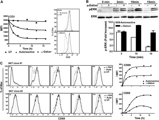 Figure 4. ERK signaling during NKT-cell activation. (A) Flow cytometric analysis of CD3 cell surface expression by NKT cells after coincubation with APCs for the indicated times. The results are from 1 representative experiment of 3. Similar results were observed using 2 different clones. (B) NKT cells were exposed to APCs for the indicated times, and then lysed and phospho-ERK was detected by Western blotting (top panels). The same membrane was then stripped and probed with an antibody for total ERK (bottom panels). APCs were pretreated with the U0126 inhibitor before incubation with the NKT cells to eliminate APC phospho-ERK signal. The plot shows densitometric analysis of the phospho-ERK signal from the upper band normalized by the corresponding total ERK signal. Similar results were obtained using 3 different NKT cell clones. (C) Flow cytometric analysis of CD69 expression by NKT cell clones after coincubation with APCs for the indicated times. The plots on the right show the change in mean fluorescence intensity compared with coincubation with untransfected APCs. Similar results were obtained from 2 additional clones.