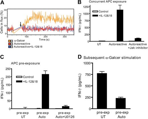 Figure 7. NKT-cell activation by IL-12 and IL-18. (A) Addition of IL-12 and IL-18 does not induce detectable calcium flux by autoreactively activated NKT cells. Similar results were obtained in 4 independent experiments using 2 different NKT-cell clones. (B) IL-12 and IL-18 costimulate IFN-γ secretion by autoreactively activated NKT cells in a JAK-STAT–dependent manner. NKT cells were coincubated with untransfected (UT) or CD1d-transfected APCs (Autoreactive) in the presence of IL-12 and IL-18 (■) or without these cytokines (□), and IFN-γ secretion was quantitated by ELISA. Where indicated, the coincubation was performed in the presence of JAK inhibitor 1. (C) Autoreactive activation potentiates subsequent NKT-cell IFN-γ secretion in response to IL-12 and IL-18. NKT cells were preexposed for 4 hours to the APCs shown on the x-axis; then these APCs were removed and the NKT cells were coincubated with untransfected APCs (ie, CD1d-negative) in the presence of IL-12 and IL-18 (■) or in the absence of these cytokines (□). Where indicated, the CD1d-transfected APC preexposure was performed in the presence of the MEK inhibitor U0126. (D) NKT cells were preexposed to the indicated APCs; these were then removed and the NKT cells were coincubated with α-GalCer–pulsed CD1d-transfected APCs and IFN-γ secretion was quantitated by ELISA. The plots in panels B to D show 1 representative experiment of 5. In each case, similar results were obtained from 3 different NKT-cell clones.