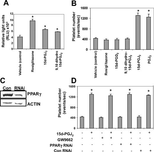 Figure 4. Platelet production from Meg-01 cells by 15d-PGJ2 is independent of PPARγ. (A) Cells were transiently transfected with a PPRE-luciferase construct and treated with either 10 μM 15d-PGJ2, 9,10 dihydro-15d-PGJ2, or rosiglitazone. Twenty-four hours after ligand treatment, a luciferase assay was performed. Cells treated with PPARγ ligands had increased luciferase activity compared with the untreated cells. (B) Meg-01 cells were treated with DMSO (vehicle control) or with 10 μM rosiglitazone, 15d-PGD2, 9,10 dihydro-15d-PGJ2, 15d-PGJ2, or PGJ2 and platelet number was assessed by flow cytometry. Results are presented as mean plus or minus SD (P < .01). (C) Western blot showing that cells infected with PPARγ-siRNA have 66% less PPARγ protein compared with cells infected with the control (con) virus. (D) Cells either infected with lentivirus PPARγ-siRNA or pretreated for 2 hours with 100 nM GW9662, an irreversible PPARγ antagonist, were treated with 15d-PGJ2 for 24 hours. Platelet production was assessed by flow cytometry. Results are presented as mean plus or minus SD (P < .01, n = 3).