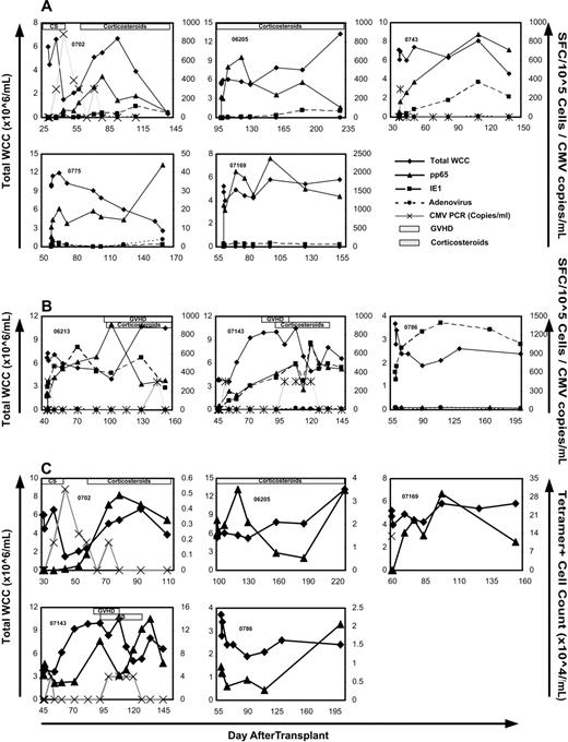 Figure 2. CMV-specific immune reconstitution after T-cell infusion. ELISPOT (A,B) and tetramer (C) analysis of response to CMV-pp65 (▴), CMV-IE1 (■), and adenoviral-hexon protein (•) in the trial participants over 3 months after T-cell infusion. Total white cell count (♦) and CMV PCR titer (×) are also shown. Presence of GVHD and corticosteroids is indicated by striped and spotted bars, respectively. Note the individual variation in scale of the y-axis. (A) Five participants with predominantly pp65 immune reconstitution. (B) Three participants with IE1 immune reconstitution matching that of pp65 (2 left panels) or dominating the response (right panel). (C) CMV-pp65 epitope-specific immune reconstitution over 3 months after T-cell infusion as assessed by tetramer binding in 5 patients. Total white cell count (×106/mL) is represented by ♦; tetramer+ cell count (×104/mL) is shown as ▴. CMV PCR titer (×102 copies/mL) is represented by ×. The HLA restriction of the tetramers used included HLA A*0201 (06 205 and 07 169), HLA B*0702 (0702 and 07 143), and HLA B*0801 (0786).