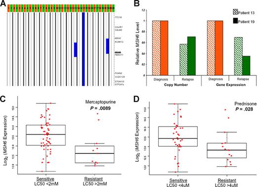 Figure 4. MSH6 and drug resistance. (A) DNA copy number at 2p16.3, as inferred by SNP array. Each column represents a sample (orange indicates diagnosis; green, relapse; from left to right: patients 1-20). (B) Relative DNA copy number loss and reduced RNA expression of MSH6 in the 2 diagnosis/relapse pairs were confirmed by real-time PCR. (C) MSH6 gene expression and mercaptopurine sensitivity in primary ALL samples (n = 66). Samples with LC50 more than or less than 2 mM were considered as resistant (n = 11) or sensitive (n = 55), respectively. (D) MSH6 gene expression and prednisone sensitivity in primary ALL samples (n = 51). Samples with LC50 more than or less than 4 μM were considered as resistant (n = 17) or sensitive (n = 34), respectively. Boxes include data between the 25th and 75th percentiles, and whiskers indicate the minimal and maximal values excluding the outliers.