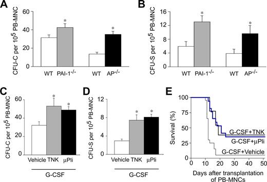 Figure 1. Plasmin enhances HPC mobilization after G-CSF. (A,B) Compared with WT mice, AP−/− mice had more circulating CFU-C (A) and CFU-S (B) at 5 days after G-CSF. *P < .05 vs WT (n = 10-15). (C,D) Compared with vehicle, treatment with 100 mg/kg tenecteplase (TNK, daily intraperitoneal) or 100 μg/day microplasmin (μPli, osmotic minipump) during 5 days increased the number of circulating CFU-C (C) and CFU-S (D), mobilized in response to G-CSF. Vehicle groups behaved similarly (not shown) and were therefore pooled together. *P < .05 vs WT (n = 10-15). (E) More lethally irradiated syngeneic WT recipients survived when they were transplanted with 1 × 105 PB-MNCs from G-CSF–treated WT mice, receiving TNK or μPli than vehicle (P < .05, Cox regression; n = 13-20).