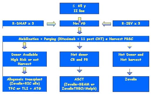 Figure. 1. Treatment Plan