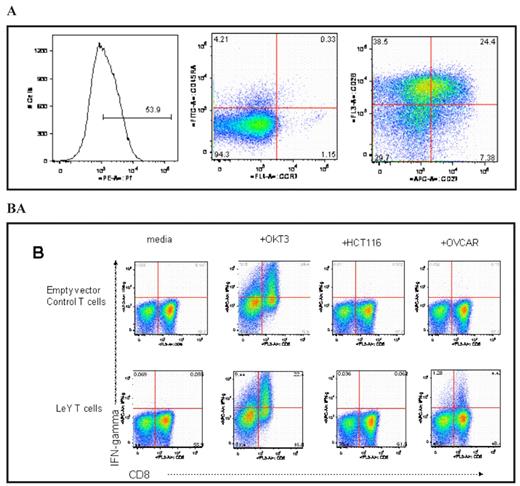 Figure 1. LeY T cells have an effector memory phenotype and respond to Lewis antigen expressing cell lines by secreting IFN-gamma. Following the transduction culture, the CD8+ LeY-T cells (A) expressed high levels of perforin and an EM phenotype. In (B), LeY T or empty vector control T cells were co-cultured with tumour cells overnight and intracellular cytokine secretion assay performed. The LeY CD8+ T cells responded to Lewis antigen expressing OVCAR cells by secreting IFN-gamma, whereas no response was observed with the negative cell line HCT-116.