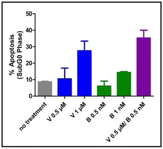 FIGURE 2:. Synergism of vorinostat and bortezomib in T-cell NHL . / L82 cells after treatment with vorinostat and bortezomib in combination.