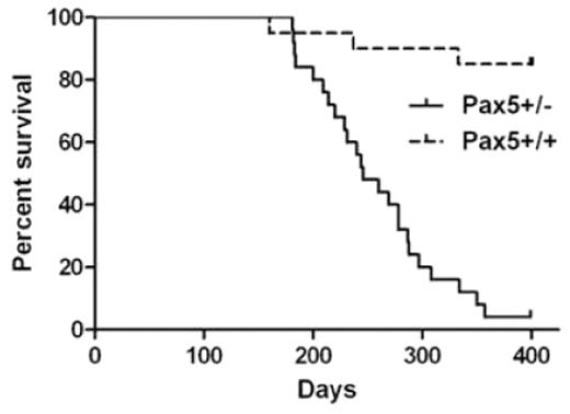 Fig. 1. ENU mutagenesis