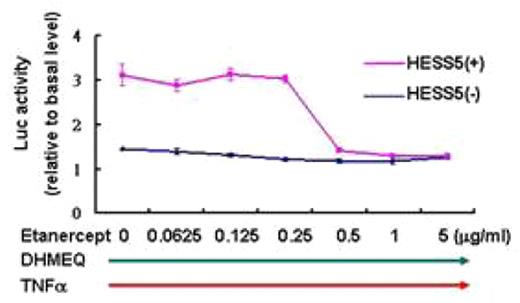 Fig. 1. NF-κB activity of Sup-B15 cells treated with DHMEQ, TNFα and Etanercept(22hrs)