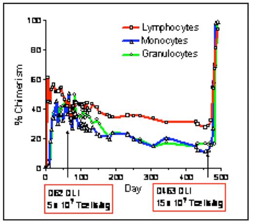 Figure 1:. % Chimerism of hematopoietic lineages