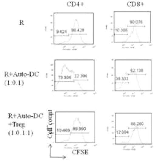 Figure 1. MLR inhibited by expanded Treg