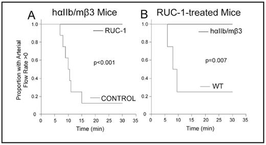 Figure 1. RUC-1 protects hαIIb/mβ3 mice, but not WT mice from FeCl3-induced carotid artery thrombotic occlusion. A. Mice expressing hαIIb/mβ3 receptor were injected IP with vehicle control (n=4), an inactive congener of RUC-1 (RUC-1-piperidine; n=4; 26.5 mg/kg), or RUC-1 (n=7; 26.5 mg/kg) 25 min before carotid artery injury with 20% FeCl3 for 3 min. Blood flow through the carotid artery was monitored for 30 min with a Doppler flow probe. Kaplan-Meier analysis was calculated from the time the FeCl3 was applied to the artery until complete occlusion. The control curve contains the combined data from the mice treated with vehicle and RUC-1-piperidine. B. WT mice (n=4) were given RUC-1 (26.5 mg/kg) and their data are compared to those reported in panel A for mice expressing hαIIb/mβ3.