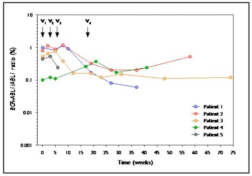 Figure 1. Dynamics of molecular response after PR1 vaccination