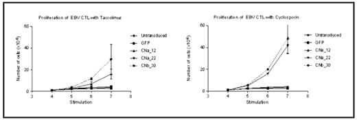 Figure 1. Proliferation of CTL in the presence of Tacrolimus or Cyclosporin A. CnB30 allows proliferation in the presence of both calcineurin inhibitors, CnA22 allows proliferation only in CsA.